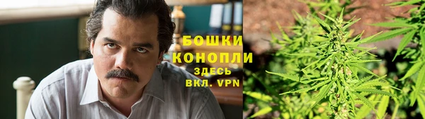 шишки Алзамай