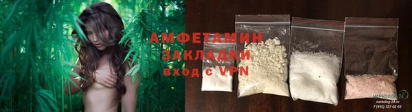 шишки Алзамай