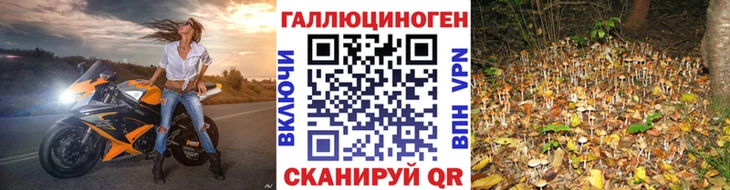 Галлюциногенные грибы Psilocybine cubensis  блэк спрут ССЫЛКА  Крымск  даркнет сайт 
